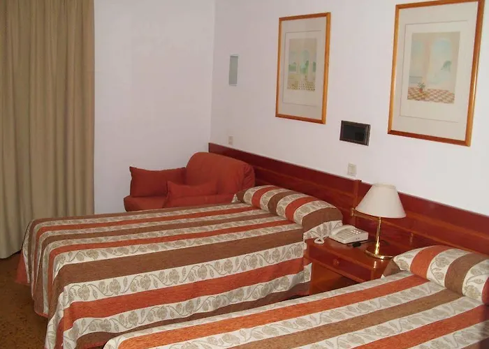 Snoe La Corza Blanca